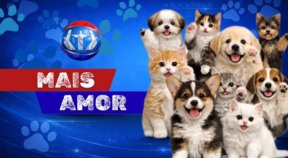 Quadro Mais Amor, adote um amiguinho!