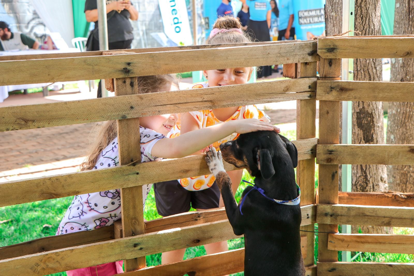 Evento de adoção e cuidados com pets movimenta Parque São Francisco neste domingo
