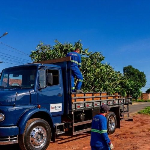 Ações de remoção de materiais intensificam limpeza urbana em Senador Canedo
