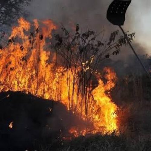 Governo de Goiás decreta emergência ambiental para reforçar prevenção a incêndios florestais