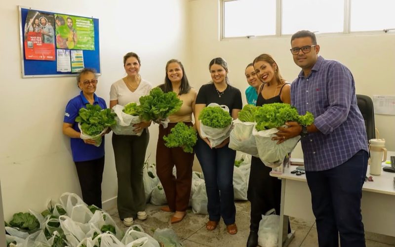 UBS Boa Vista ganha horta para incentivar alimentação saudável em Senador Canedo