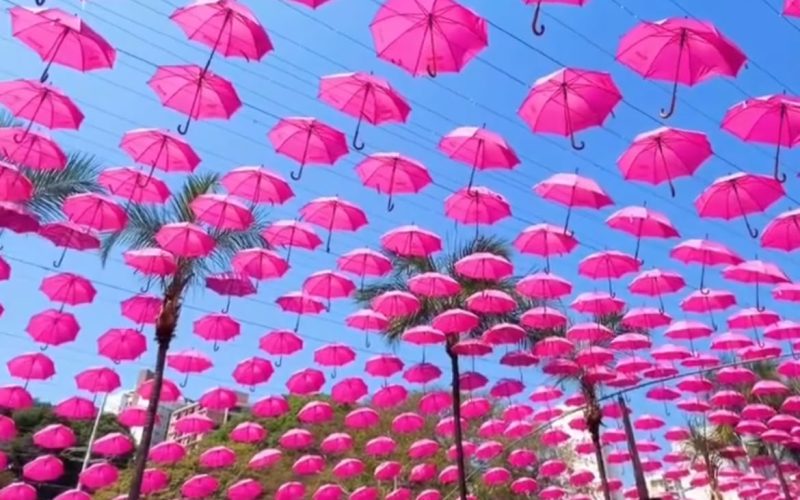 Goiânia ganha túnel de guarda-chuvas rosas para marcar o Outubro Rosa