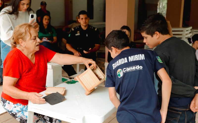 Guarda Mirim conhece criação de abelhas sem ferrão em visita educativa em Senador Canedo