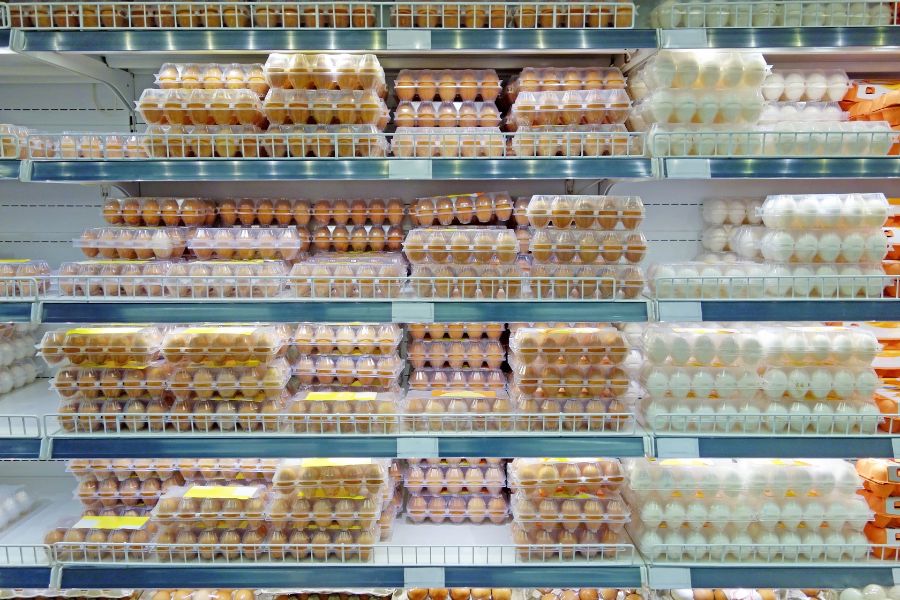 Preço do ovo sobe mais de 40% em fevereiro e preocupa consumidores