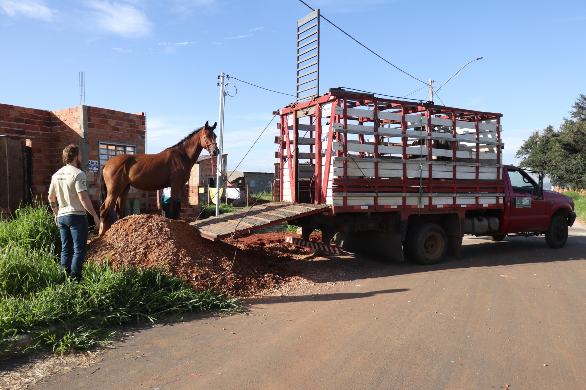 Prefeitura de Senador Canedo intensifica vigilância em zoonoses e reforça saúde pública