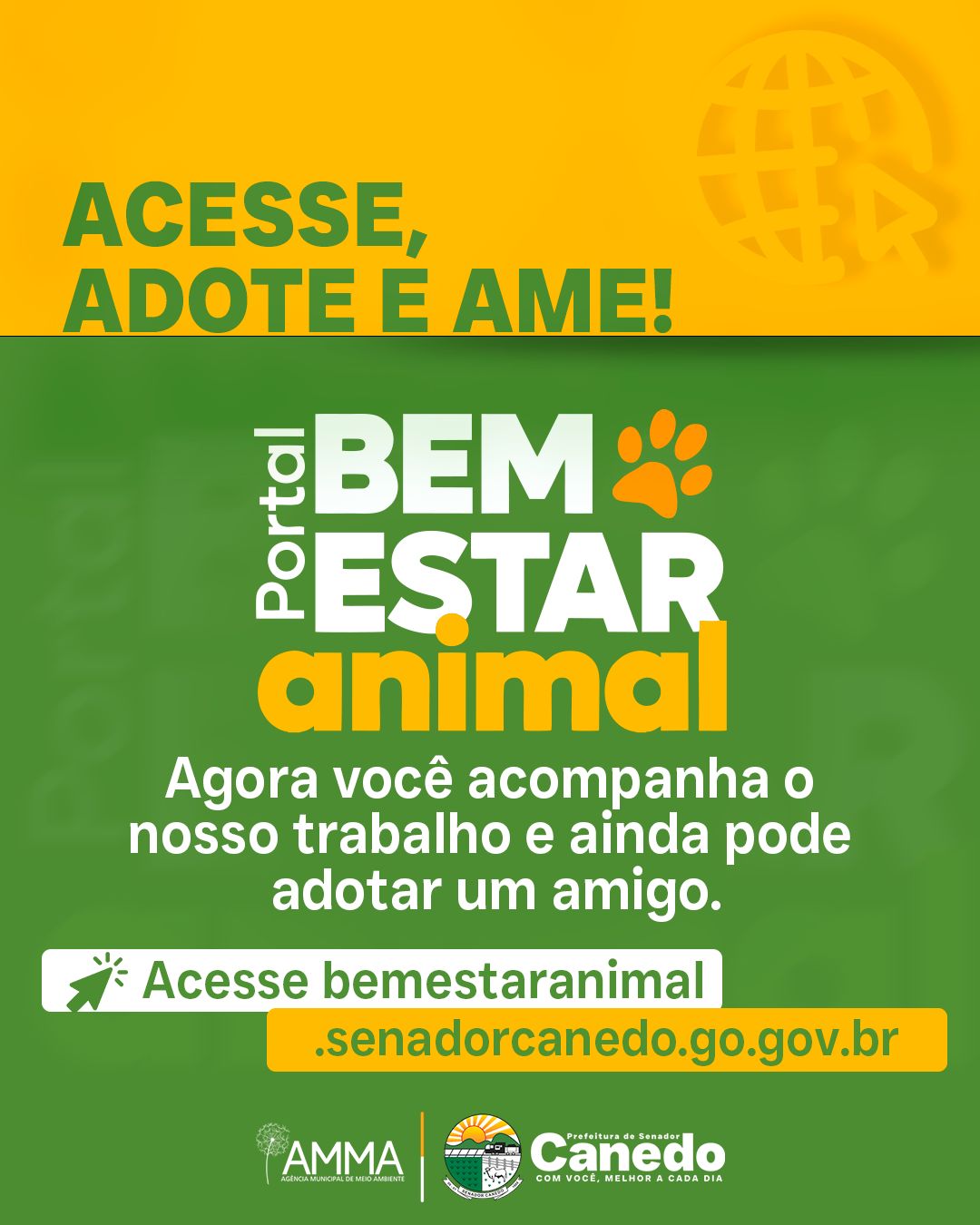 Novo site da Prefeitura de Senador Canedo permite adotar pets com apenas alguns cliques