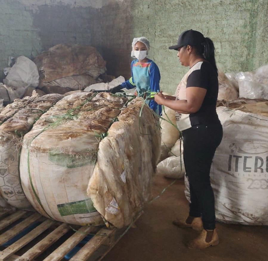 Catadores como protagonistas: cooperativas de reciclagem ganham força em Goiás, mas enfrentam desafios com apoio público e cultura da população