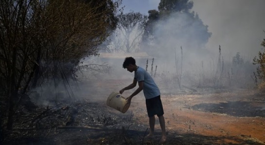 Brasil registra maior número de queimadas em 40 anos; Amazônia lidera área destruída em 2024