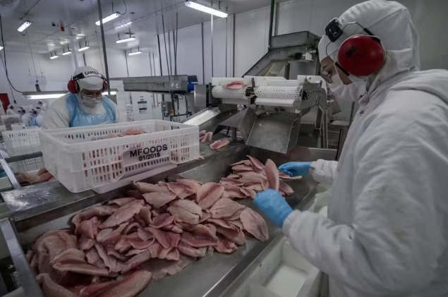 Governo inclui açaí, castanhas e pescados em lista de compras públicas após sobretaxa dos EUA