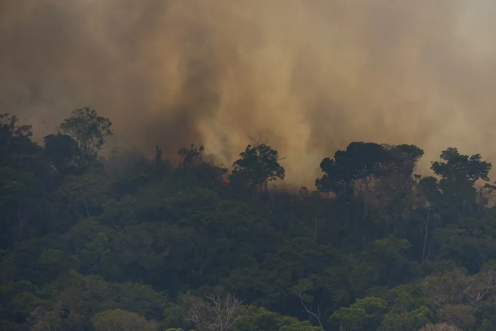 Fumaça das queimadas pode causar 1,4 milhão de mortes por ano até 2100, alertam estudos