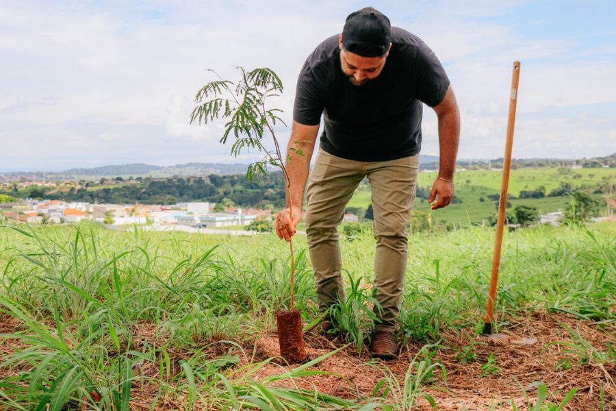 AMMA realiza plantio participativo de mudas no Residencial Flor do Ipê, em Senador Canedo