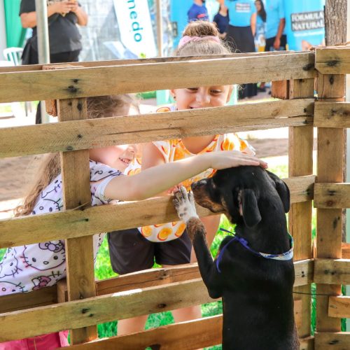 Senador Canedo se aproxima de 600 adoções e fortalece políticas de Bem-Estar Animal